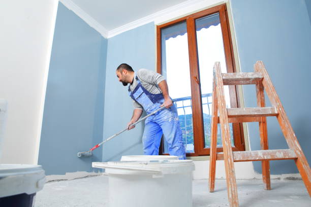 Best Drywall Removal and Disposal  in Wheeling, IL